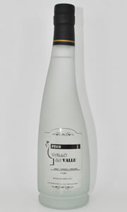 Pisco gallo del valle